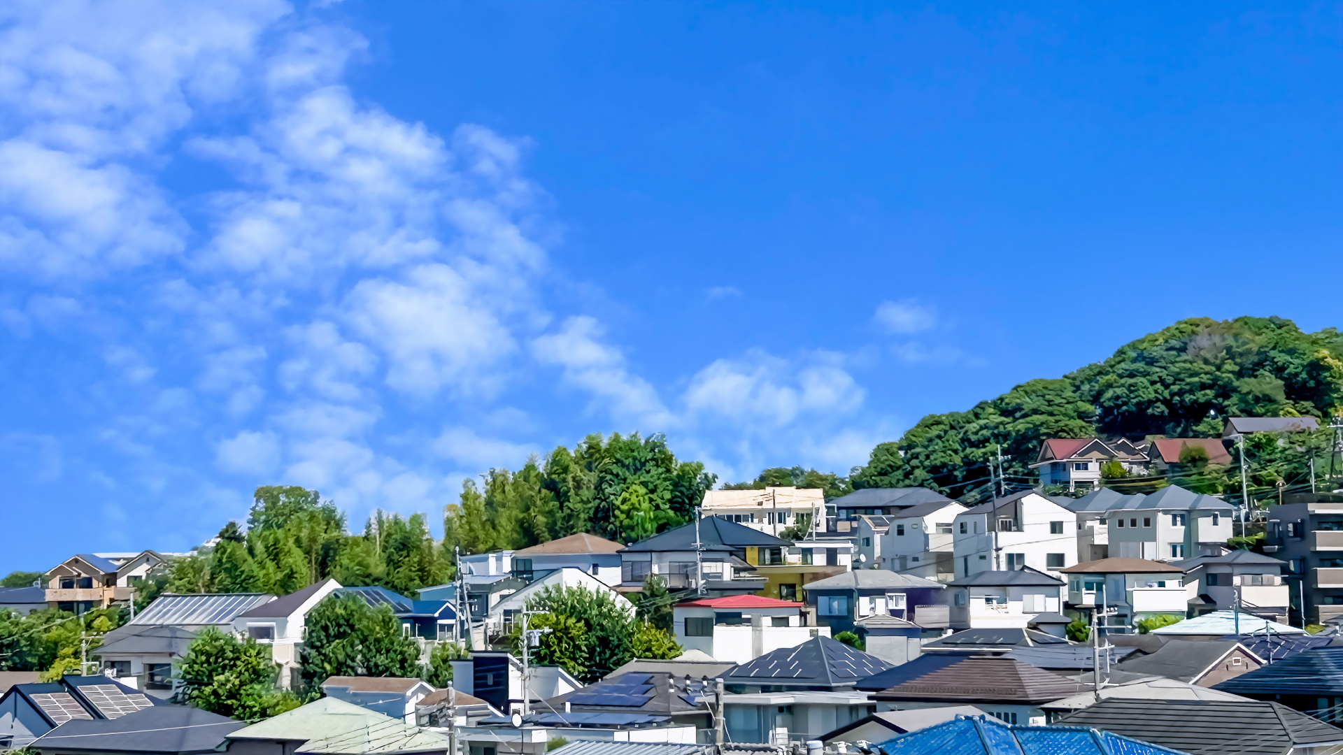 地域